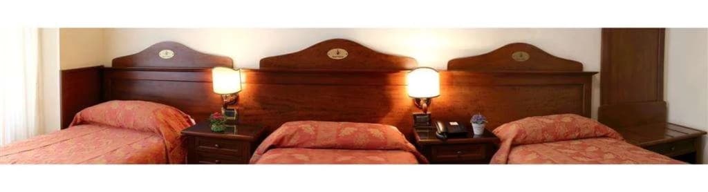 Pavone Hotel  - photo 23