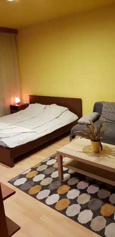 Obuda Apartment - photo 1