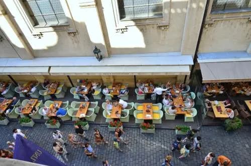 Pension Karlova - photo 14