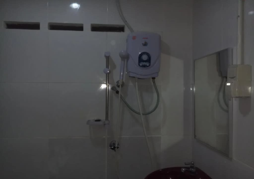 Shalini's Guest House - photo 7