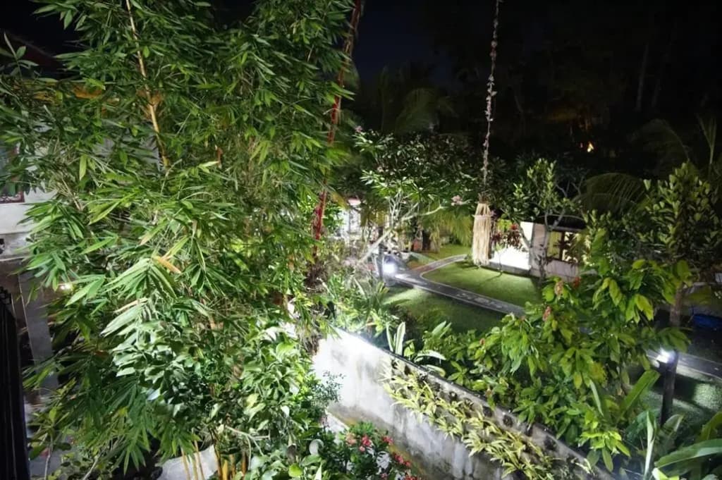 Ubud Dream - photo 14