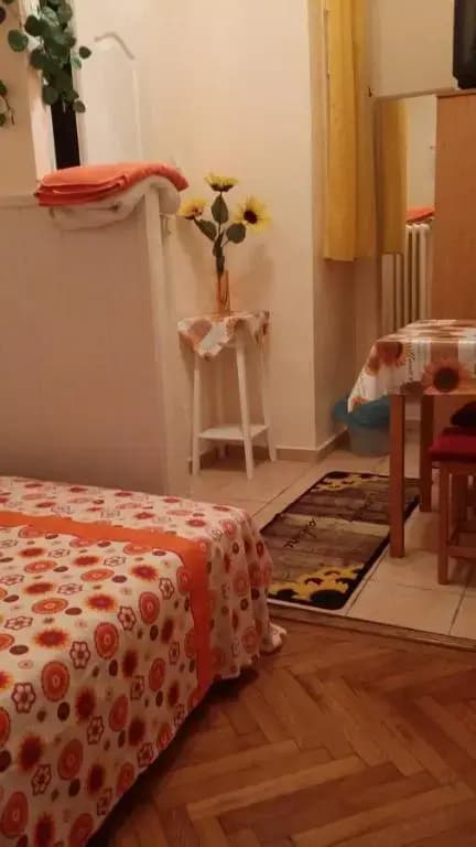 Valentina Guesthouse - photo 6