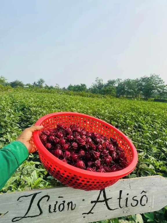 Thanh Chiem Village - photo 11