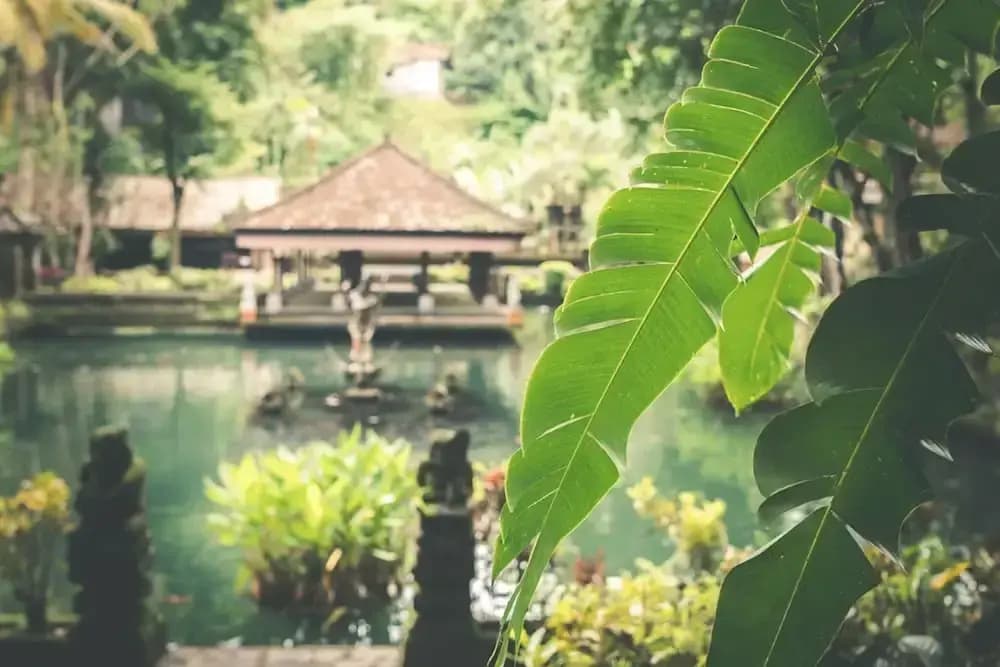 Luxury Villa in Bali near Beach, Bali Villa 2024 - photo 19