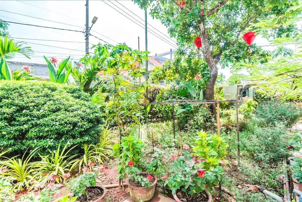 Opal Boutique Villa - photo 14