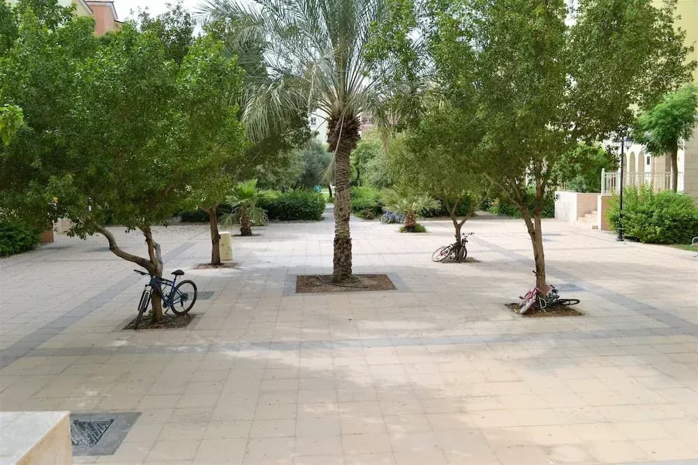 Ascapes Mediteranean Cluster DG - photo 15