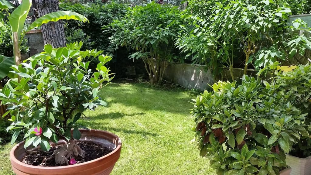 Il Giardino di Giulia 2 - photo 19