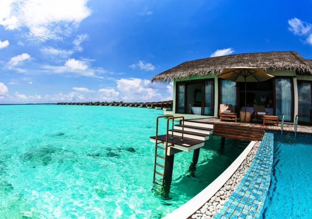 The Residence Maldives Resort - photo 42