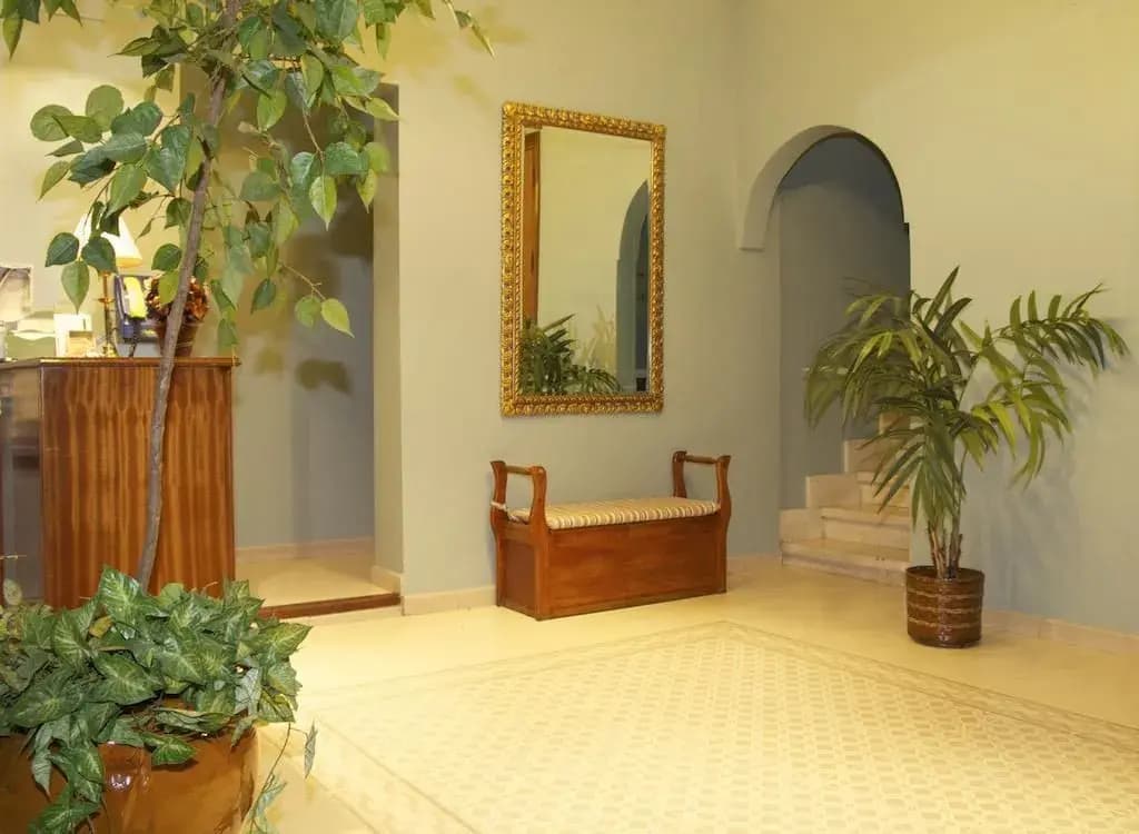 Hostal El Catalán - photo 8