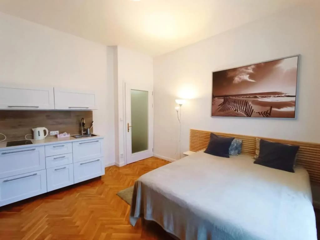 Apartmen -Studio - photo 2