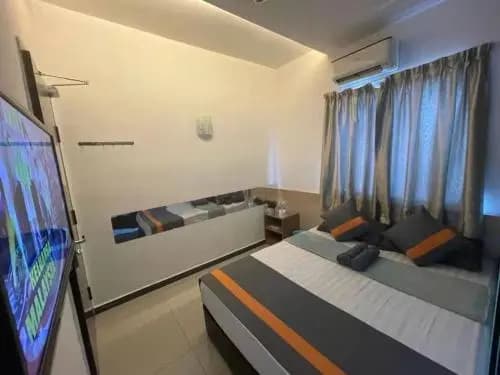Dolphin Hotel - photo 25