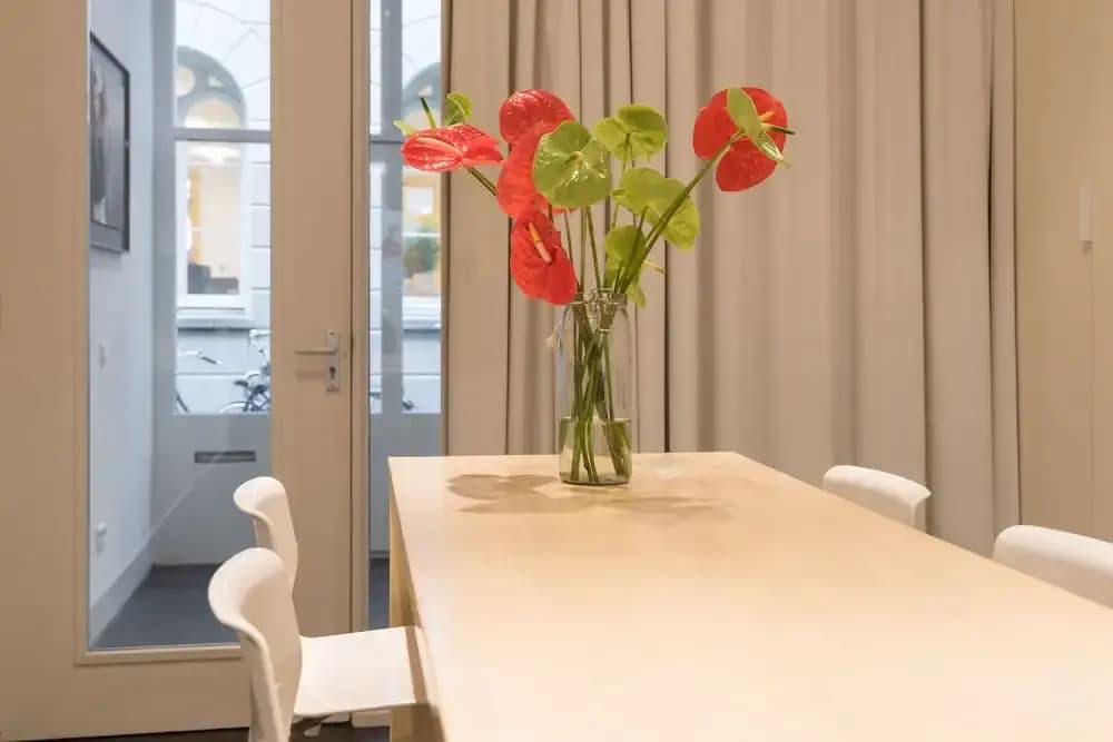 White Room Apartment - photo 1