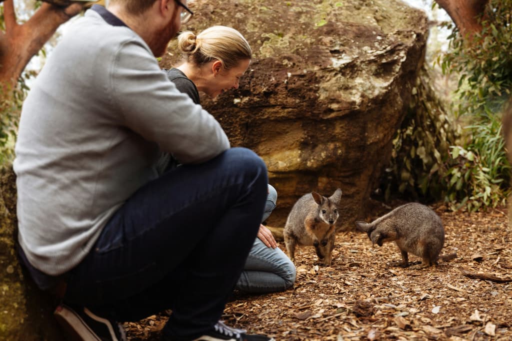 Wildlife Retreat at Taronga - photo 6