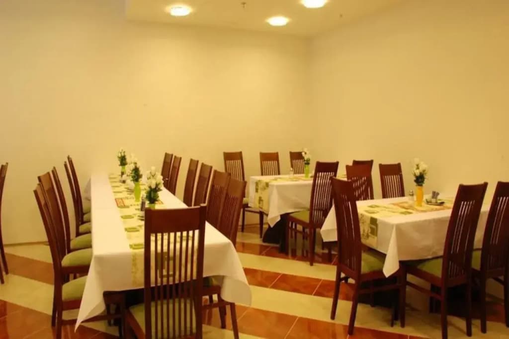 Ankora - photo 23