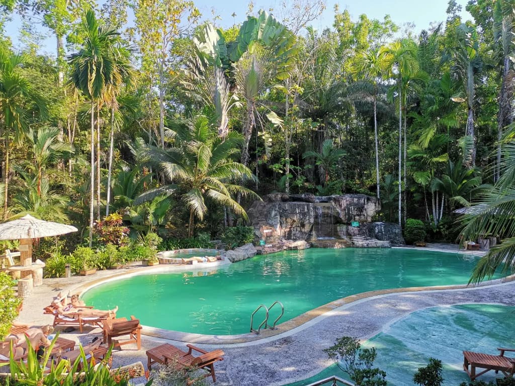 Sepilok Jungle Resort - photo 5