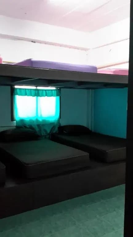 Bamboo Hostel - photo 6