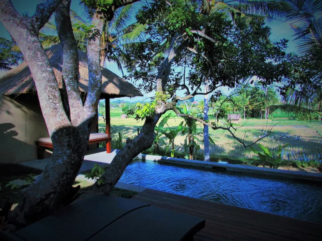 Temuku Ubud Villas - photo 12