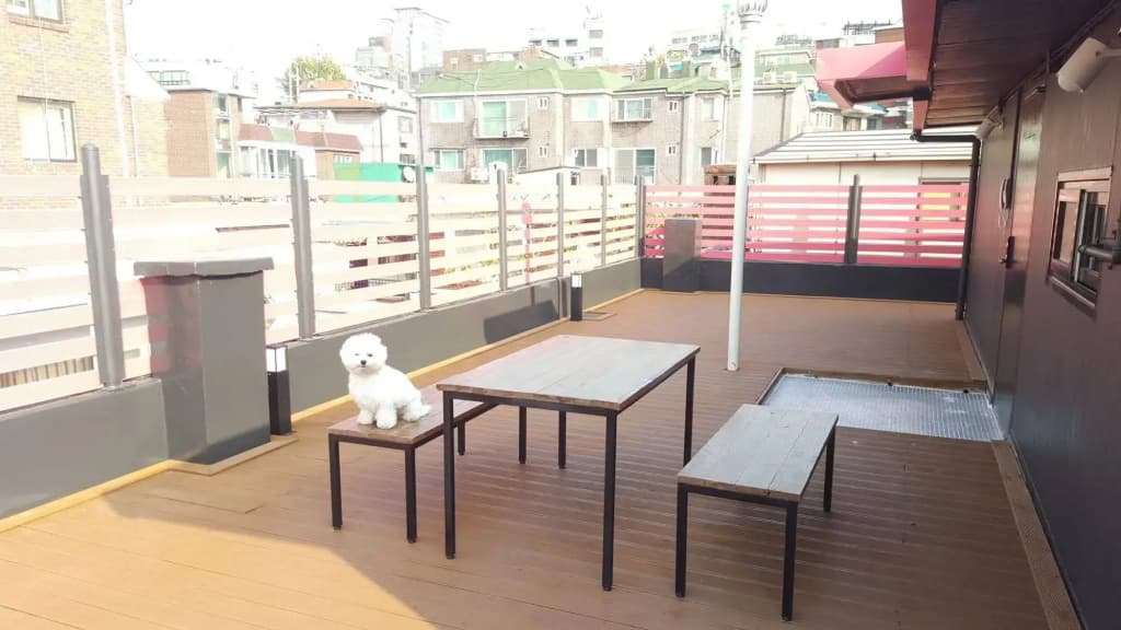 Amazon Guesthouse - Hostel - photo 17