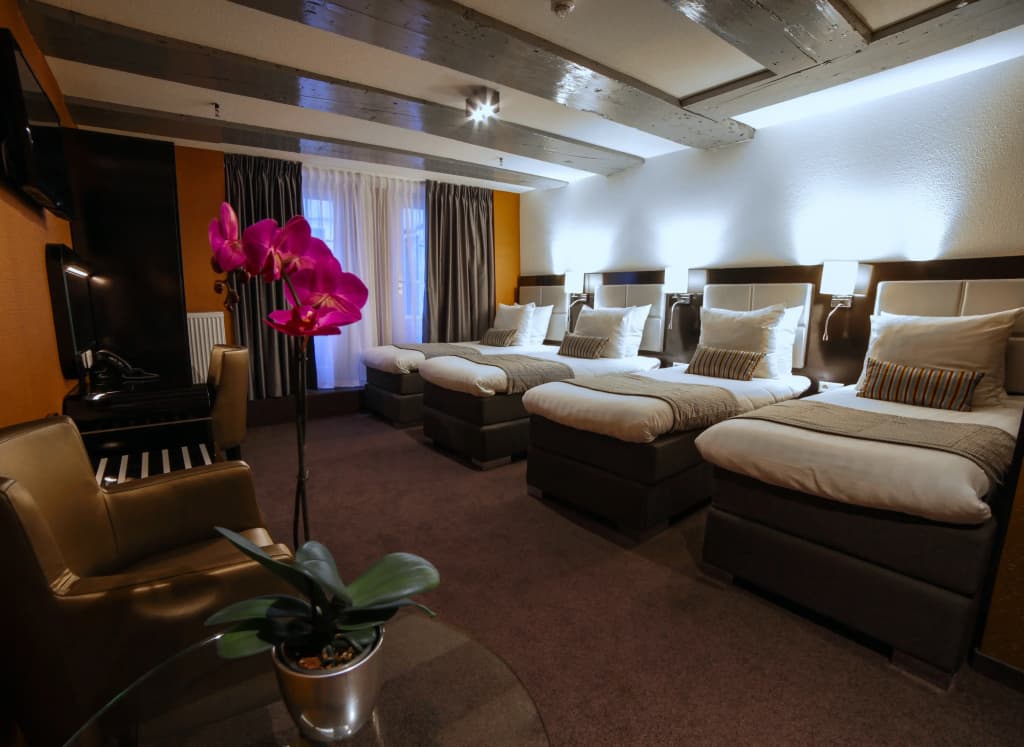 Hotel Mansion - photo 2