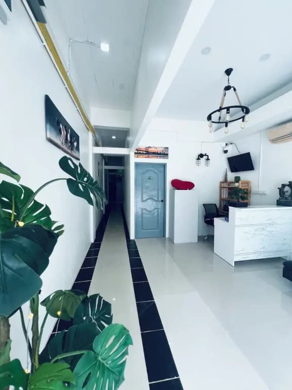 LimeTree Loft Guesthouse - photo 2