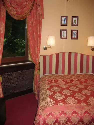 Hotel Vadvirg Panzi - photo 4