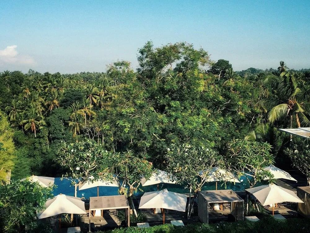 Aura Bisma Ubud - photo 28