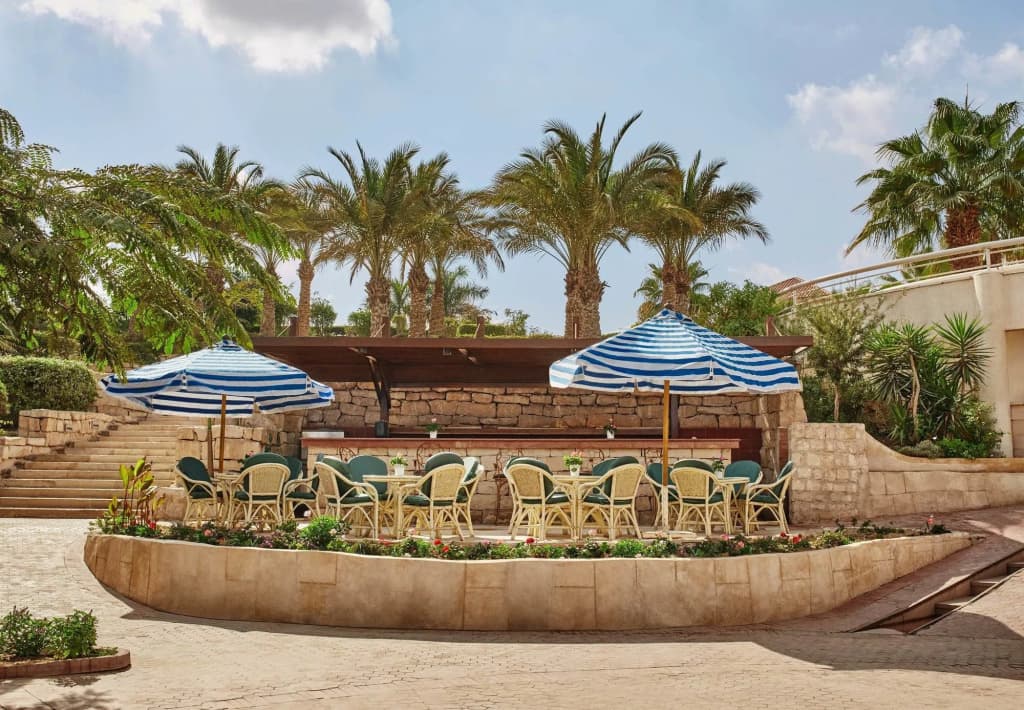 JW Marriott Hotel Cairo - photo 31