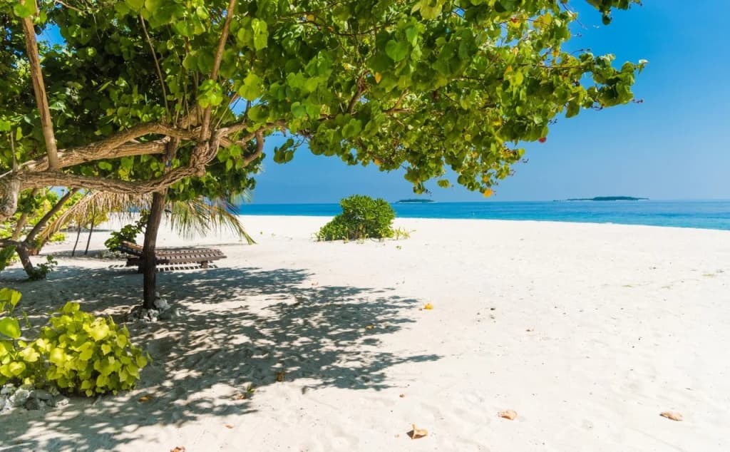 Villa Kamadhoo - photo 8