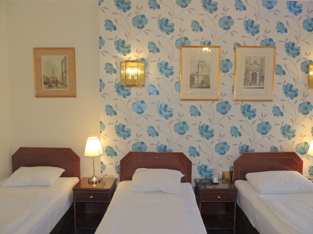 Dolphin Hotel - photo 5