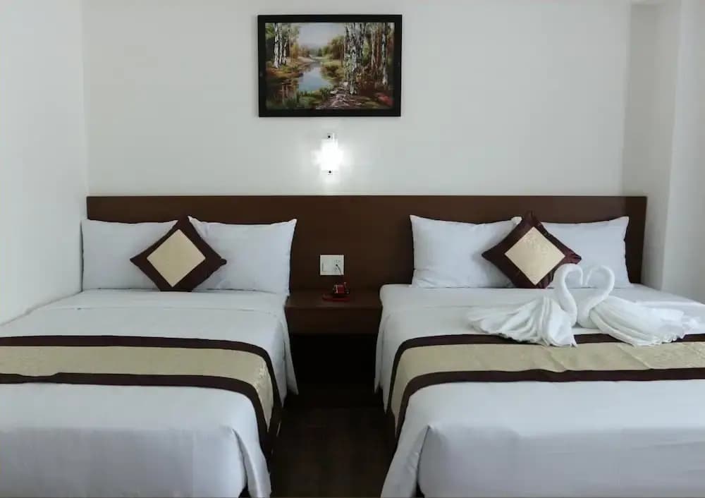 Dorado Hotel - photo 5