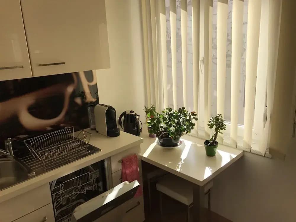 Apartment 1010 - photo 4