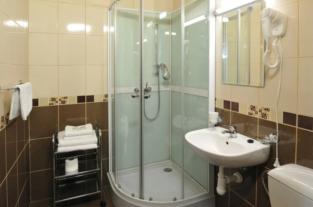 Hotel Wilhelm - photo 8