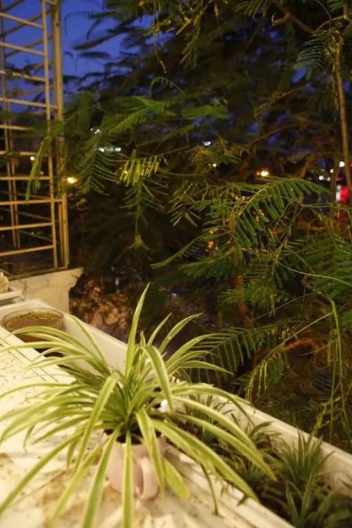 Hanoi Lake View Homestay - photo 2