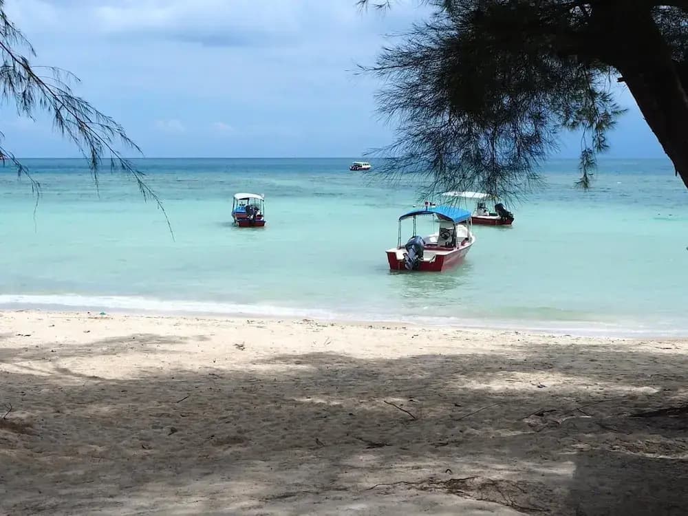 Samudra Beach Chalet - photo 17