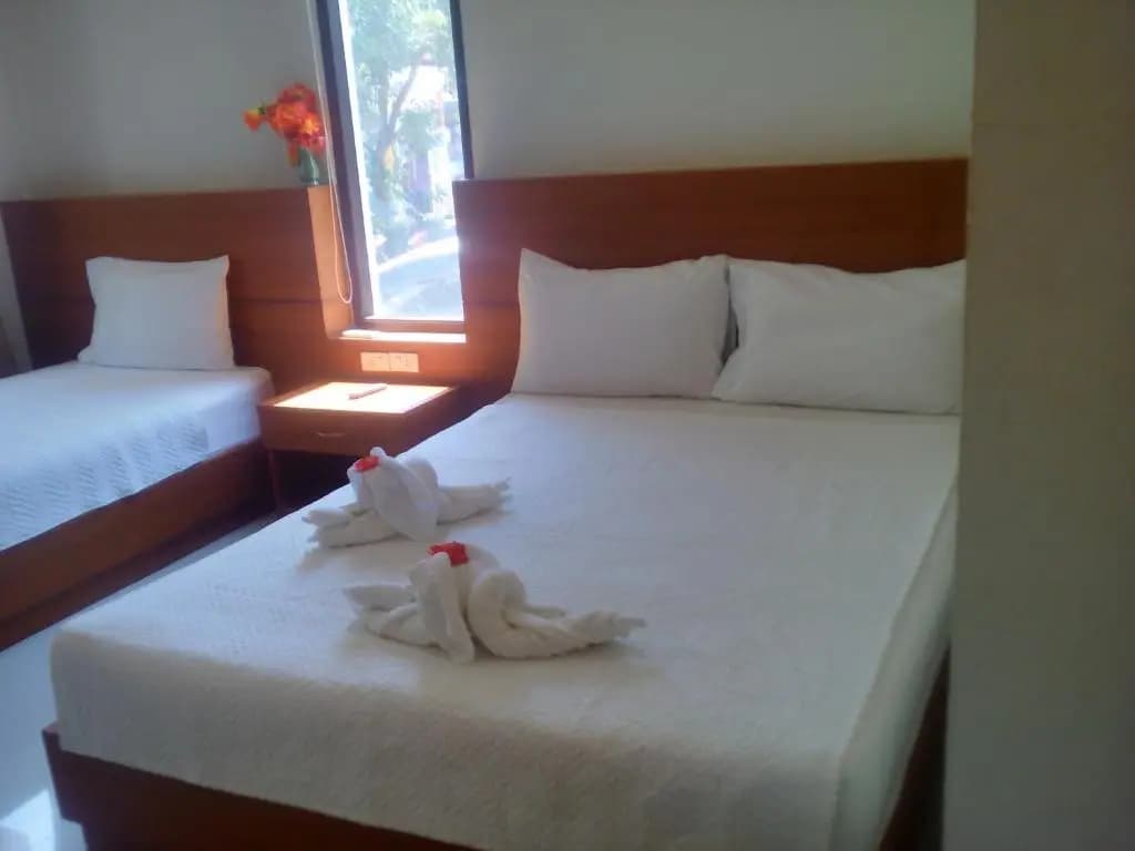 Modern Resort - photo 6