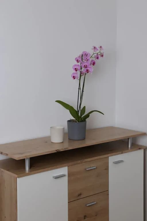 Urban Stay Apartments Vienna - photo 5