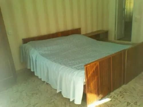 surami - photo 2