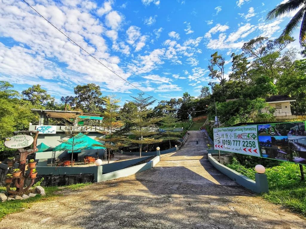 Green Peace Sungai Lembing - photo 7