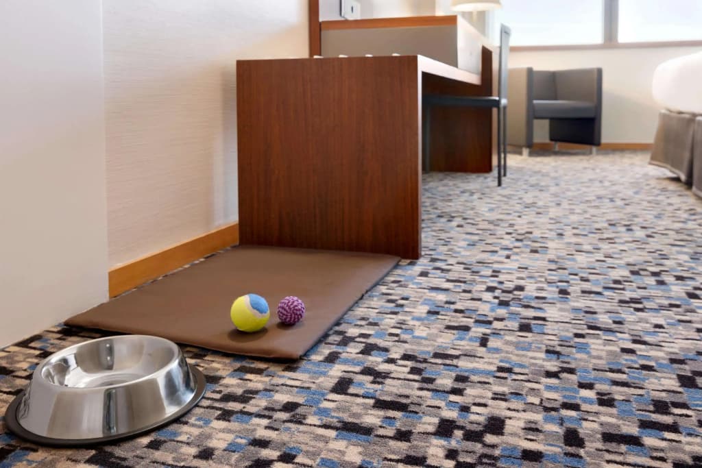 Ramada by Wyndham Lisbon - photo 19