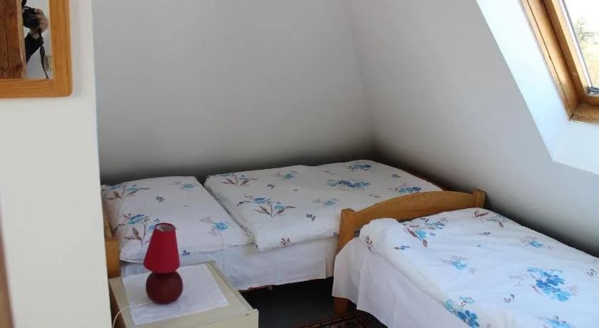 Pension Hanspaulka - photo 4