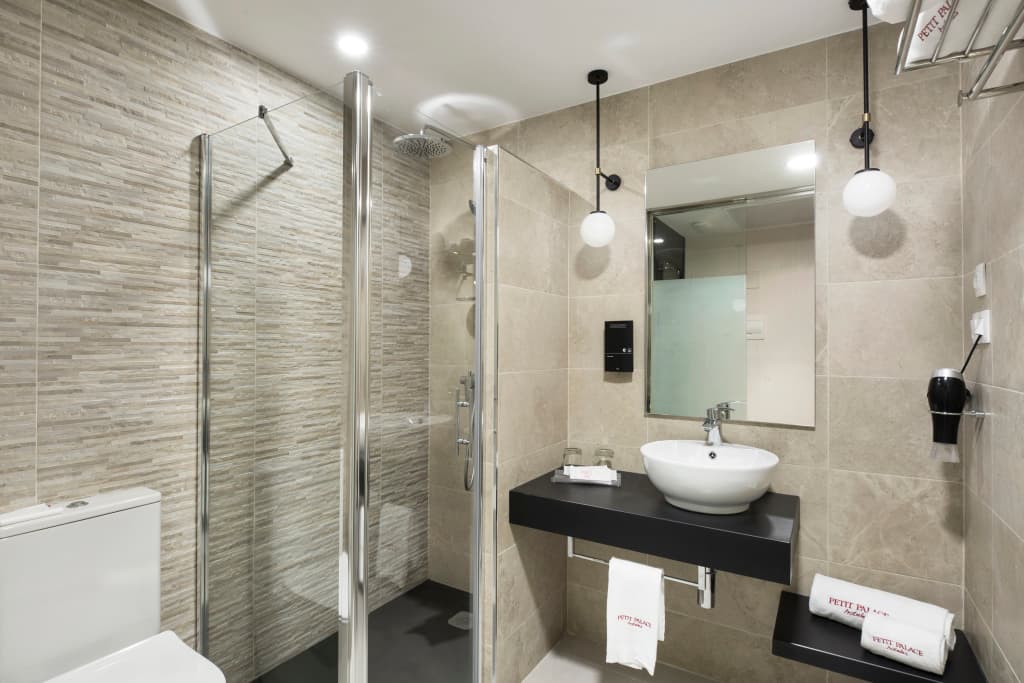 Petit Palace Triball Hotel - photo 8