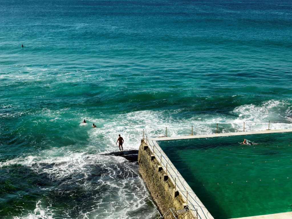 QT Bondi - photo 21