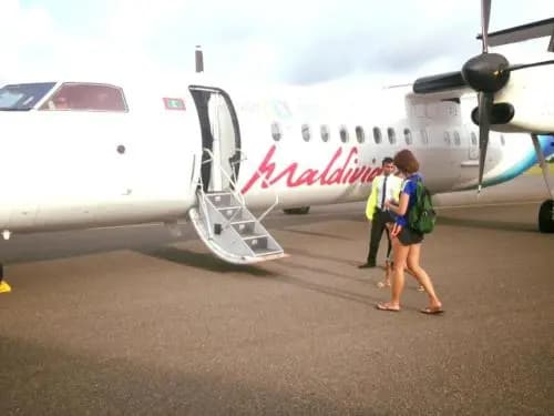 Island Host - photo 15
