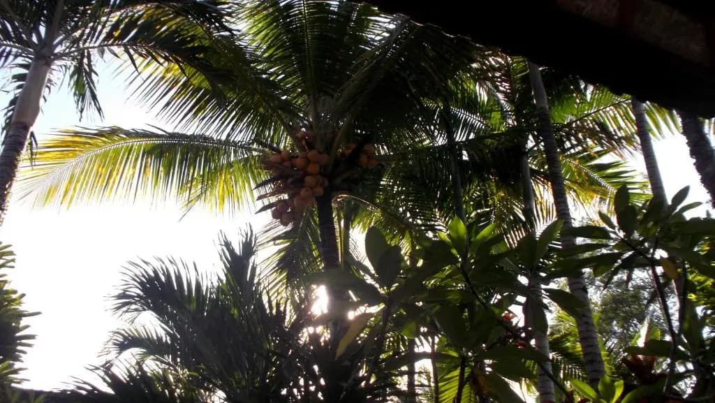 Bella Villas - photo 4