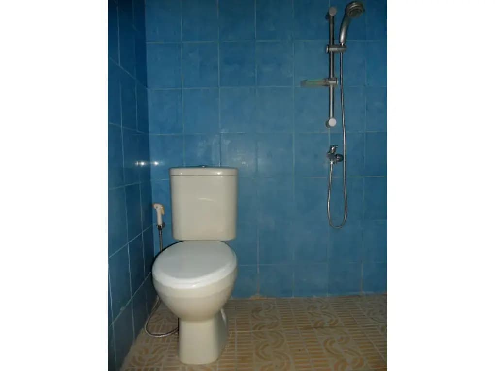 Bali Natural Homestay - photo 8