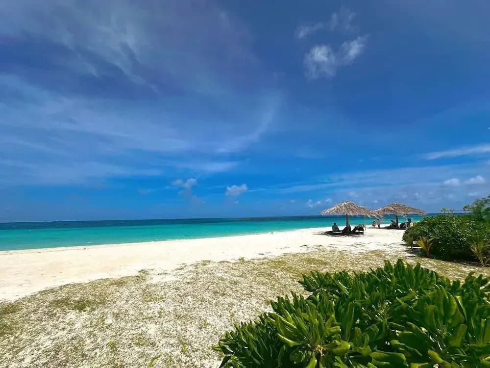 WhiteSand - photo 44