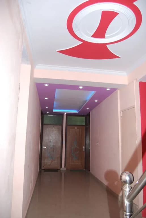 Hotel Lotus Delhi Airport - photo 10