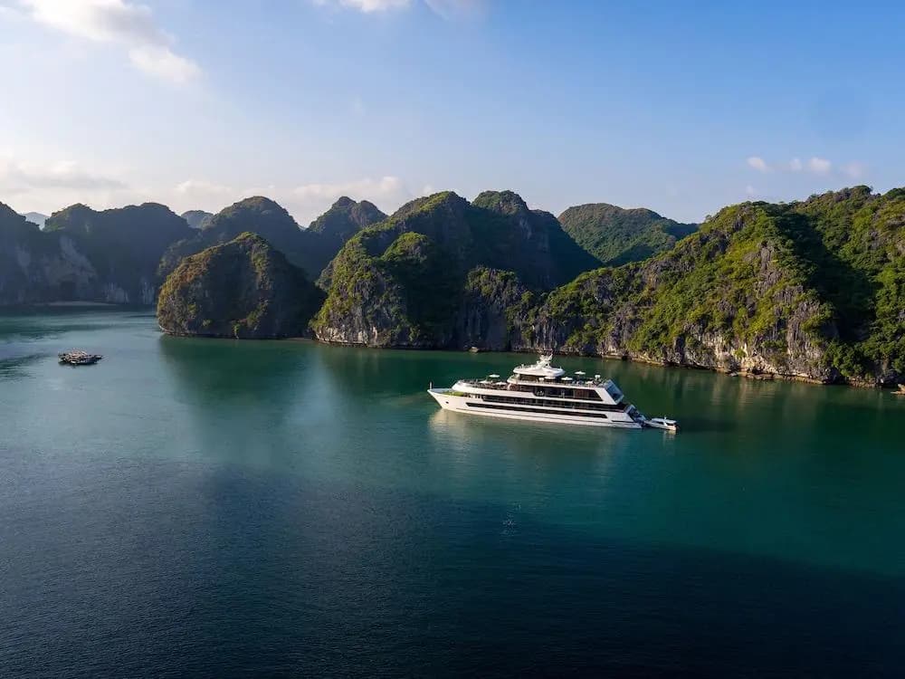 Stellar of the Seas - photo 25