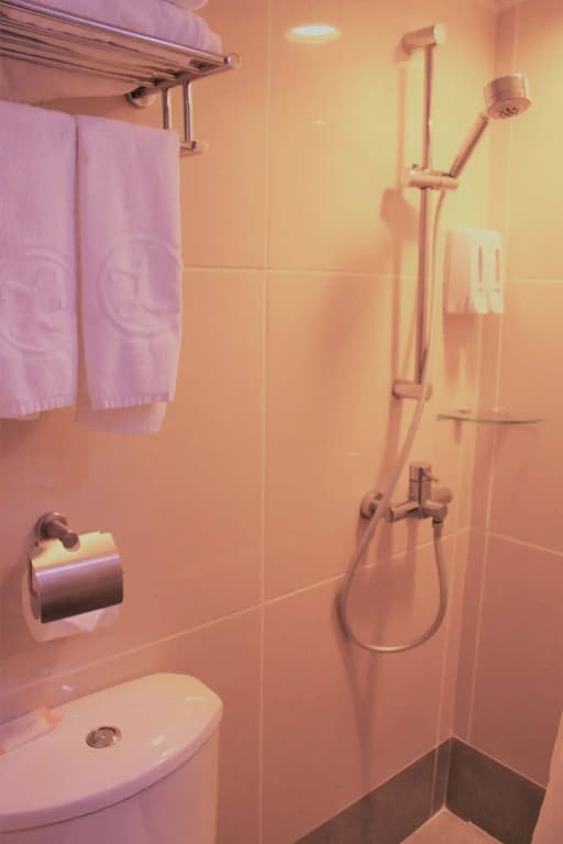 Oriental Lander Hotel - photo 10