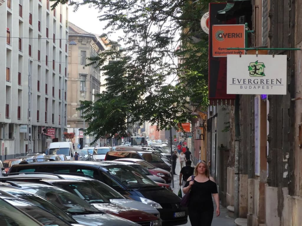 Evergreen Budapest Bed & Breakfast and Guest House - photo 11